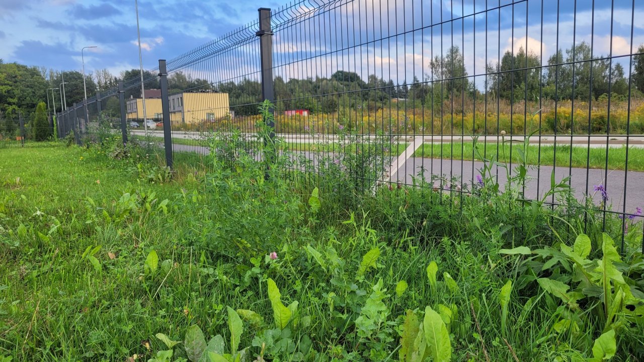 Roheline muru aiaga piiratud alal, taamal majad ja mets