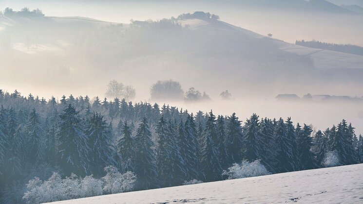 Winter forest and mountains on the background