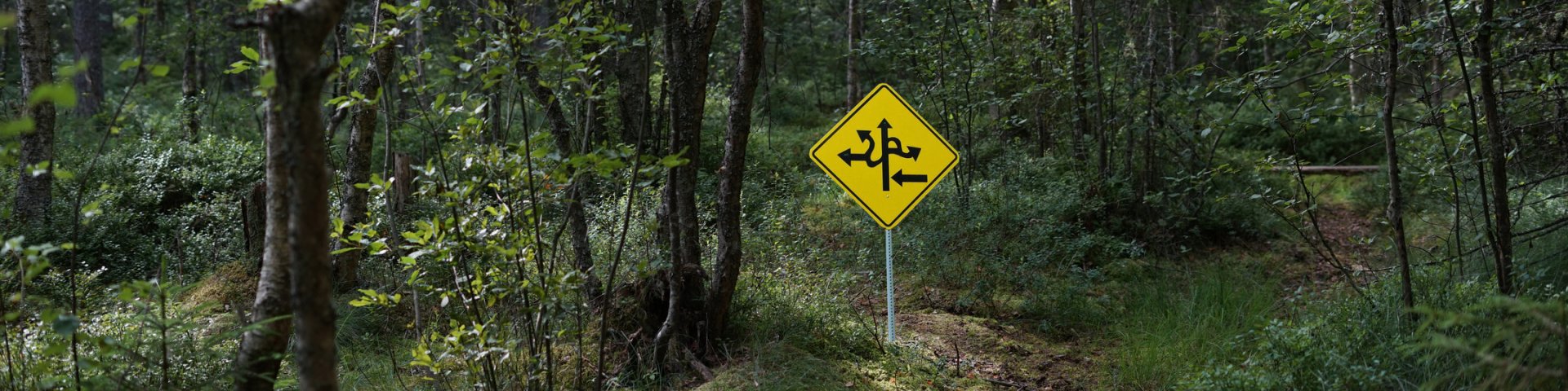 forest, sign, mets, märk, Ulla Juske